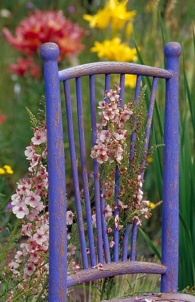 NA, USA, WA, KingCounty, Seattle, Garden, Mixed Flowers & Old Chair