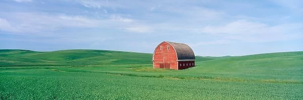 NA, USA, WA, Whitman County, Red Barn in Spring Pea Field