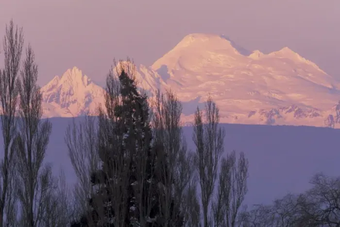 Framed Print : NA, USA, Washington, Conway, Skagit Valley. Mt. Baker seen at dawn from the Skagit Valley Framed Print : NA, USA, Washington, Conway, Skagit Valley. Mt. Baker seen at dawn from the Skagit Valley