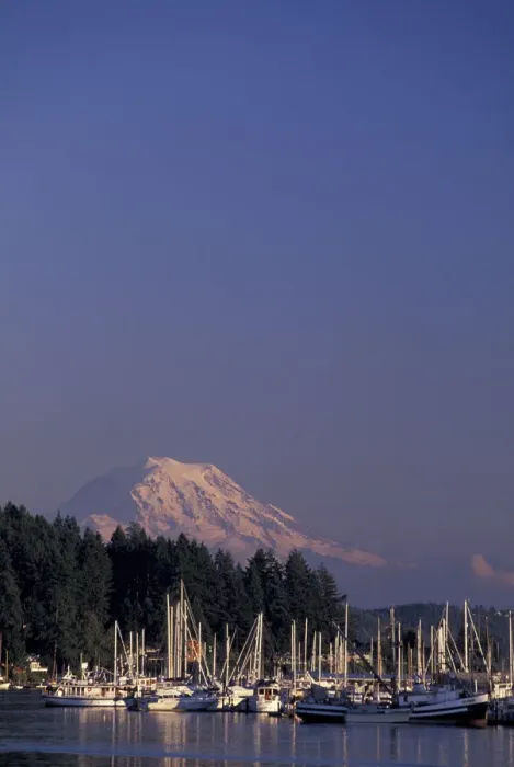 Framed Print : NA, USA, Washington Marina with Mt. Rainier in background