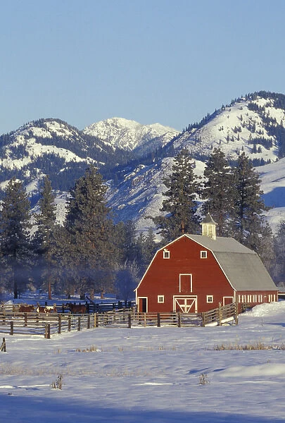 NA, USA, Washington, Methow Valley, near Winthrop Red barns in winter
