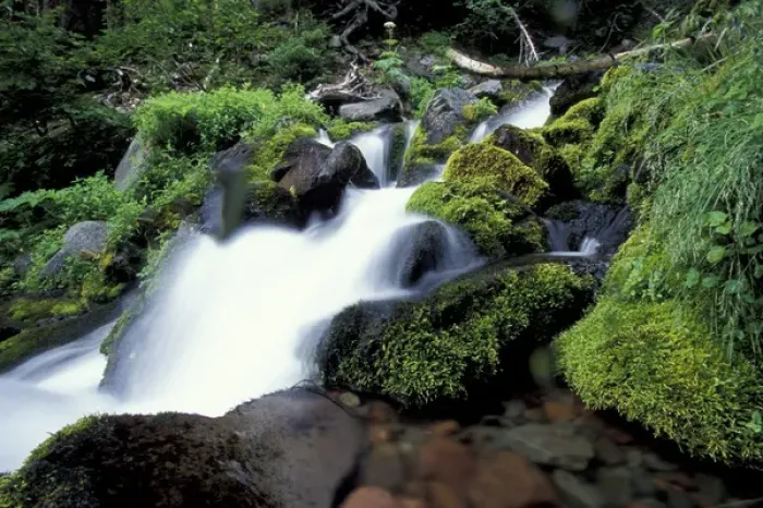 Framed Print : NA, USA, Washington, Mt. Rainier NP Mountain stream Framed Print : NA, USA, Washington, Mt. Rainier NP Mountain stream