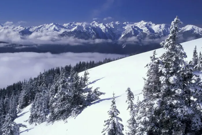 Framed Print : NA, USA, Washington, Olympic NP Olympic Mountain Range after a winter snow storm