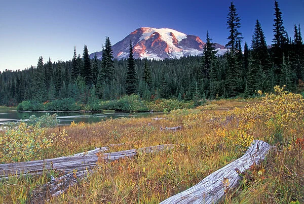 NA, USA, Washington, Reflection lakes area, Mount Rainier, meadow with logs