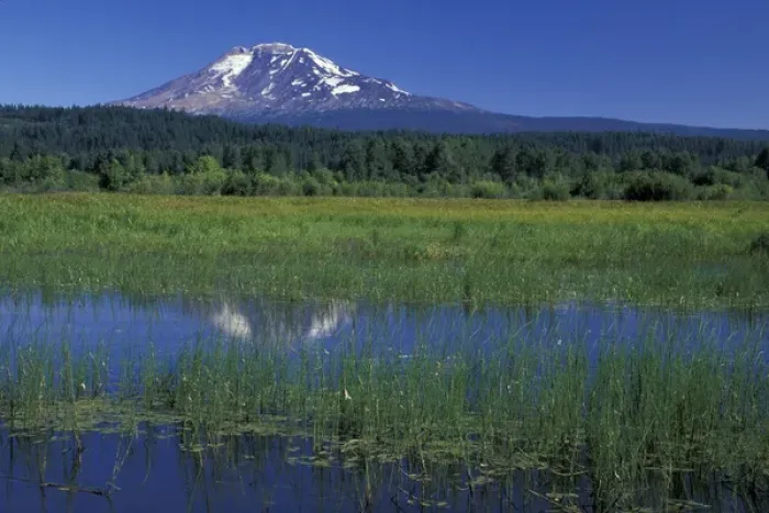 Framed Print : NA, USA, Washington, Trout Lake Mt. Adams and Trout Lake; summer Framed Print : NA, USA, Washington, Trout Lake Mt. Adams and Trout Lake; summer