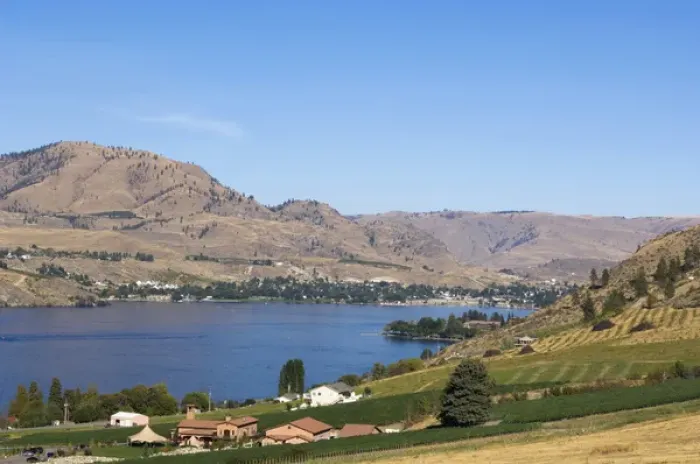 Framed Print : NA; USA; Washington; Vineyard on Lake Chelan Framed Print : NA; USA; Washington; Vineyard on Lake Chelan