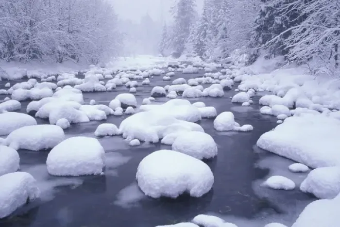 Framed Print : NA, USA, Washington, Washington Cascades Fresh snowfall on Denny Creek at Snowqualmie Framed Print : NA, USA, Washington, Washington Cascades Fresh snowfall on Denny Creek at Snowqualmie