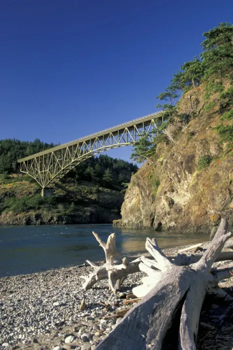 Framed Print : NA, USA, Washington, Whidbey Island Driftwood on beach below Deception Pass Bridge