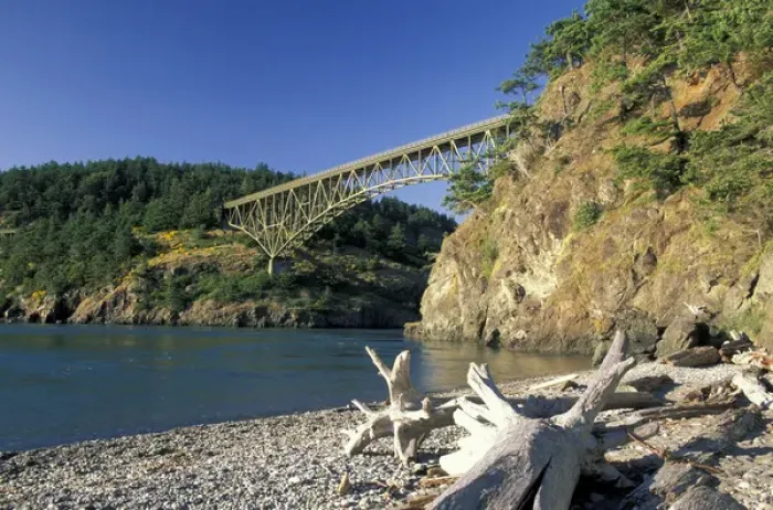Framed Print : NA, USA, Washington, Whidbey Island Driftwood on beach below the Deception Pass Bridge