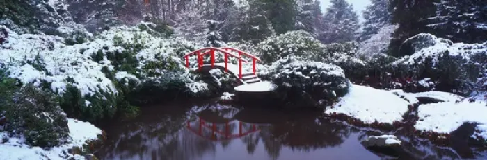 Framed Print : NA, USA, Washinton State, Seattle, Kabota Gardens, Snow covered Bridge with small pond Framed Print : NA, USA, Washinton State, Seattle, Kabota Gardens, Snow covered Bridge with small pond