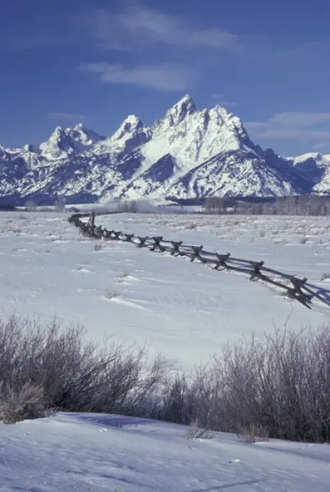 Framed Print : NA, USA, Wyoming, Grand Teton National Park. Grand Tetons and fenceline