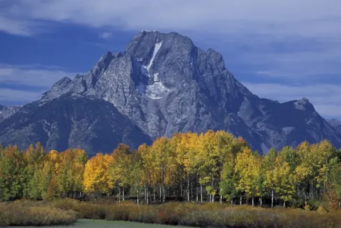 Framed Print : NA, USA, Wyoming, Grand Teton National Park. Mount Moran towers over aspen trees