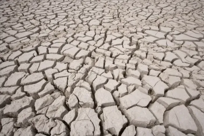 Framed Print : Namibia, Etosha National Park. Cracked mud in dried water hole at edge of Etosha Pan Framed Print : Namibia, Etosha National Park. Cracked mud in dried water hole at edge of Etosha Pan
