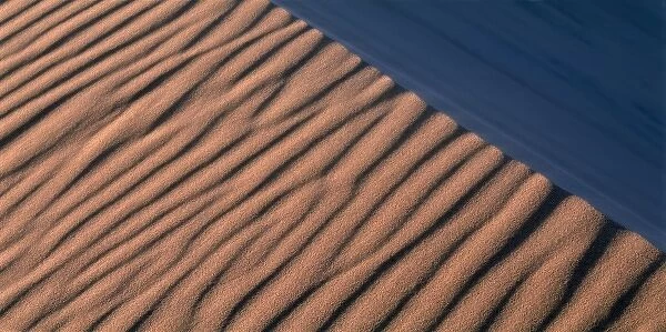 Namibia, Namib Desert, Setting sun lights wind-blown sand along dunes near coastal
