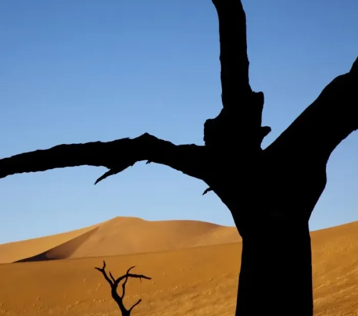 Framed Print : Namibia, Namib-Naukluft Park, Sossusvlei. Dead trees contrast with sand dunes at Dead Vlei Framed Print : Namibia, Namib-Naukluft Park, Sossusvlei. Dead trees contrast with sand dunes at Dead Vlei