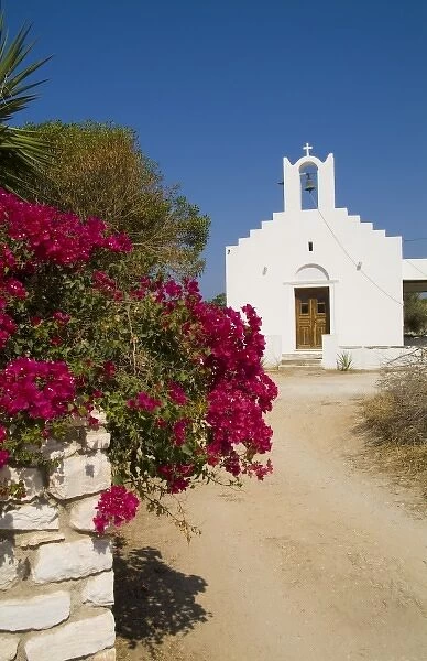 Naoussa, Paros Island, Greece, Europe. White church next to the beautiful flowers