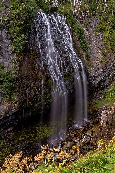 Narada Falls in Mount Rainier National Park, Washington State, USA