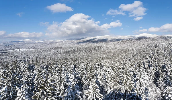 National Park Bavarian Forest (Bayerischer Wald) in the deep of winter. View towards mount Lusen