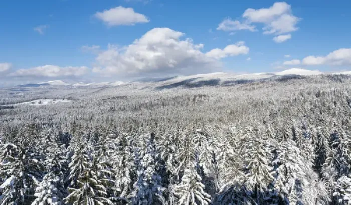 Framed Print : National Park Bavarian Forest (Bayerischer Wald) in the deep of winter. View towards mount Lusen Framed Print : National Park Bavarian Forest (Bayerischer Wald) in the deep of winter. View towards mount Lusen