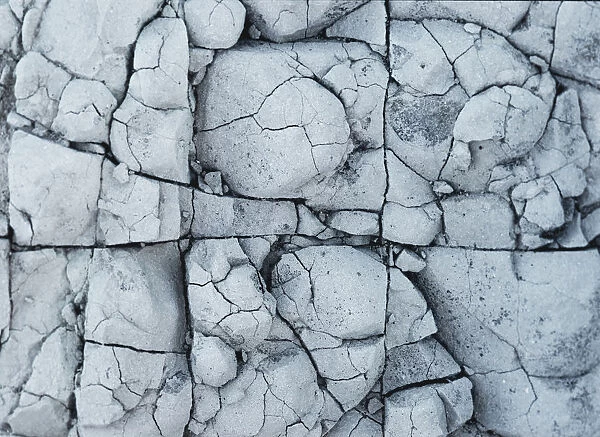 This is a natural pattern found in the rocks of Castolon Canyon in Big Bend National Park