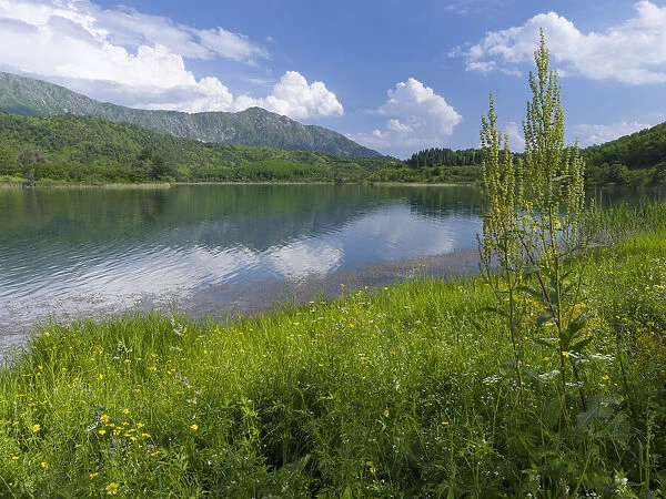 Nature reserve Sary-Chelek (Sary-Tschelek), UNESCO World Heritage Site, Western Tien Shan