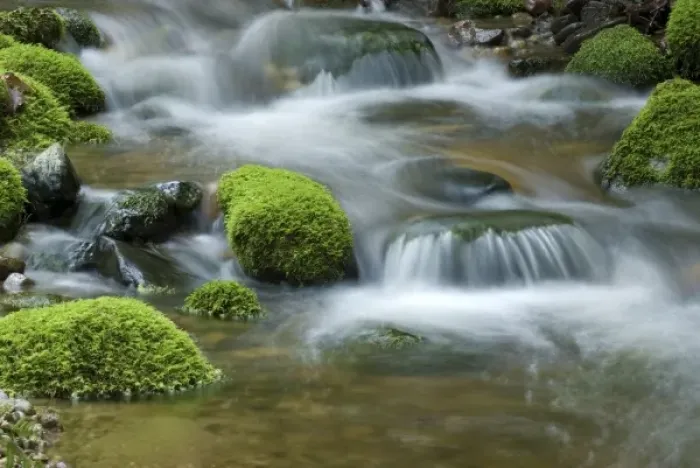 Framed Print : Nature, Waterscapes Framed Print : Nature, Waterscapes