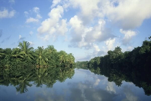 Near mouth of Sibun River, coastal Belize