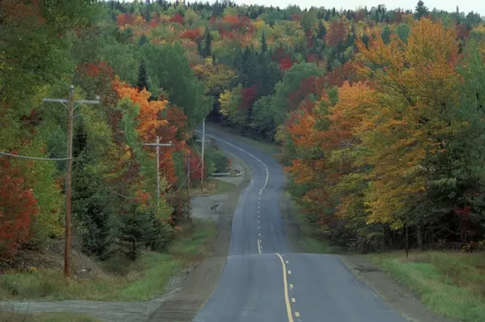 Framed Print : Near Patten, ME. Northern Forest. Fall foliage lines the road Framed Print : Near Patten, ME. Northern Forest. Fall foliage lines the road