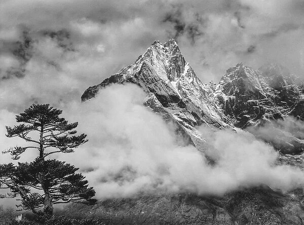 Nepal Himalayas Mountain and Tree