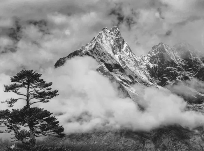 Framed Print : Nepal Himalayas Mountain and Tree Framed Print : Nepal Himalayas Mountain and Tree
