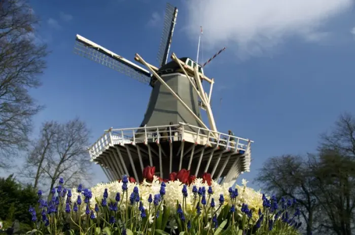 Framed Print : Netherlands (aka Holland), Lisse. Keukenhof Gardens, the worlds largest bulb Framed Print : Netherlands (aka Holland), Lisse. Keukenhof Gardens, the worlds largest bulb