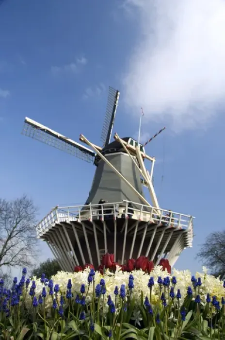Framed Print : Netherlands (aka Holland), Lisse. Keukenhof Gardens, the worlds largest bulb