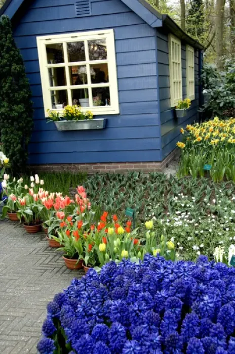 Framed Print : Netherlands (aka Holland), Lisse. Keukenhof Gardens, the worlds largest bulb