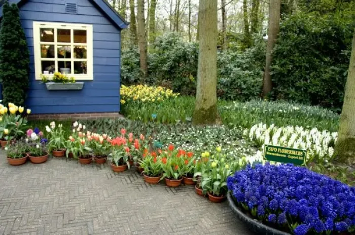 Framed Print : Netherlands (aka Holland), Lisse. Keukenhof Gardens, the worlds largest bulb Framed Print : Netherlands (aka Holland), Lisse. Keukenhof Gardens, the worlds largest bulb