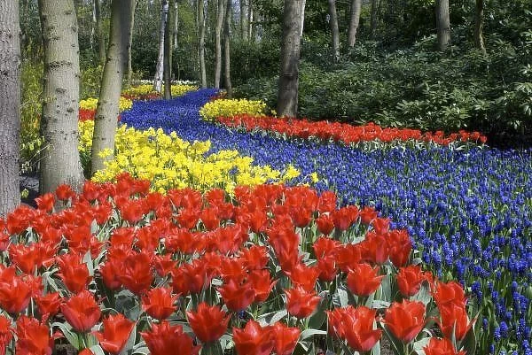 Netherlands, Holland, Lisse, Keukenhof Gardens