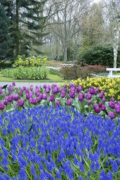 Netherlands, Holland, Lisse, Keukenhof Gardens