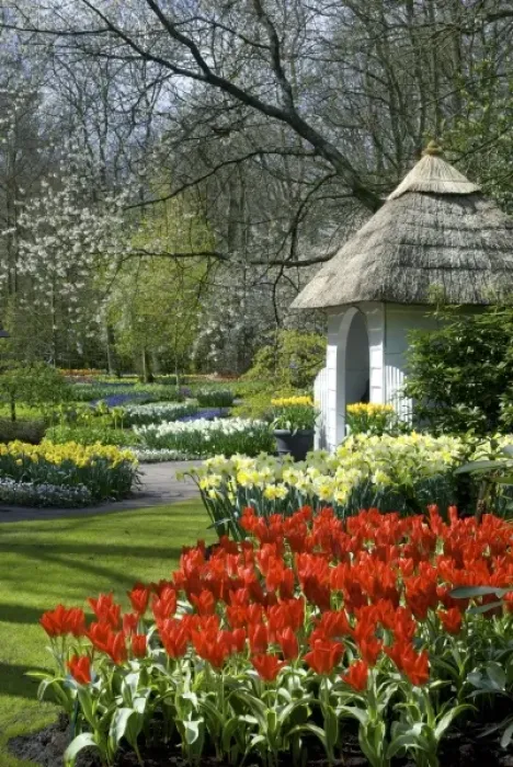 Framed Print : Netherlands, Holland, Lisse, Keukenhof Gardens