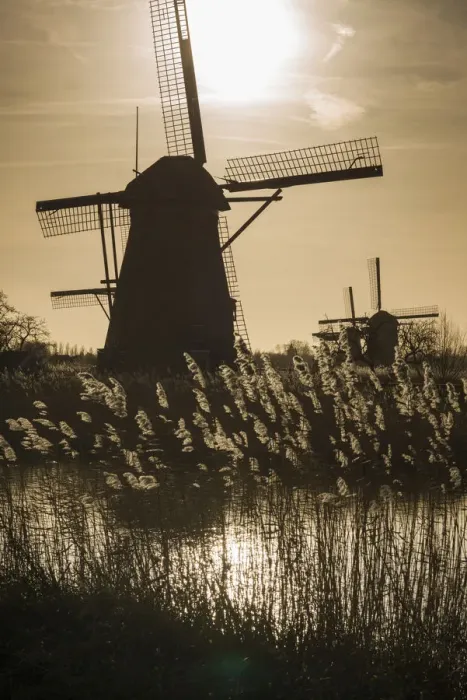 Framed Print : Netherlands, Kinderdijk, Traditional Dutch windmills Framed Print : Netherlands, Kinderdijk, Traditional Dutch windmills