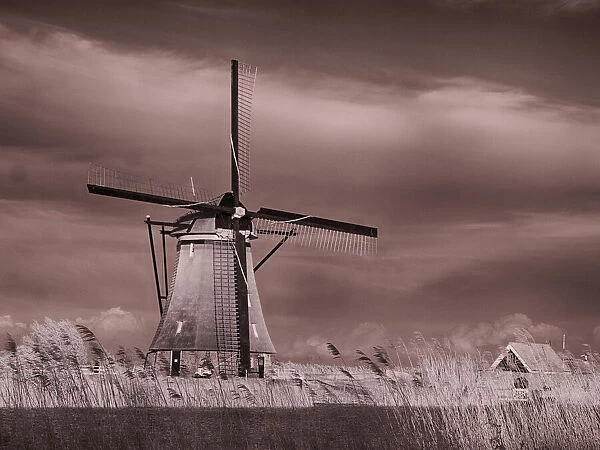 Netherlands, Kinderdijk. Windmills at sunset in Kinderdijk