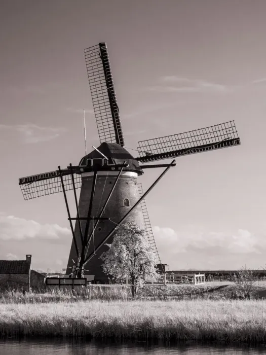 Framed Print : Netherlands, Kinderdijk. Windmills at sunset in Kinderdijk Framed Print : Netherlands, Kinderdijk. Windmills at sunset in Kinderdijk