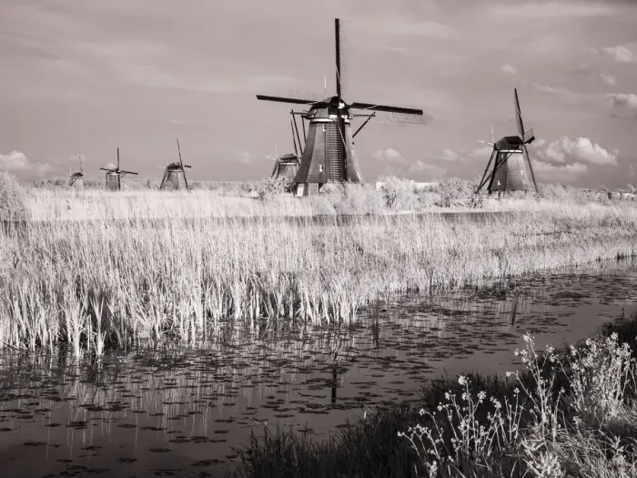 Framed Print : Netherlands, Kinderdijk. Windmills at sunset in Kinderdijk Framed Print : Netherlands, Kinderdijk. Windmills at sunset in Kinderdijk