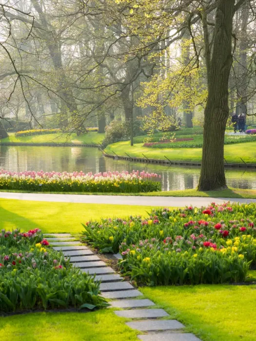Framed Print : Netherlands, Lisse. Path leading through spring flowers Framed Print : Netherlands, Lisse. Path leading through spring flowers