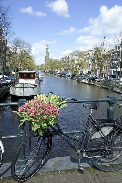 Netherlands, North Holland, Amsterdam, Tulips and bike on the Prinsengracht, Westerkerk