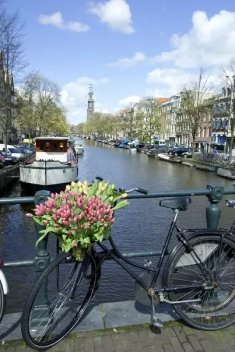 Framed Print : Netherlands, North Holland, Amsterdam, Tulips and bike on the Prinsengracht, Westerkerk Framed Print : Netherlands, North Holland, Amsterdam, Tulips and bike on the Prinsengracht, Westerkerk