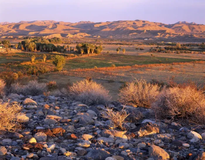 Framed Print : Nevada. USA. Desert vegetation & stones above wetlands, pastures, & palm groves at sunrise
