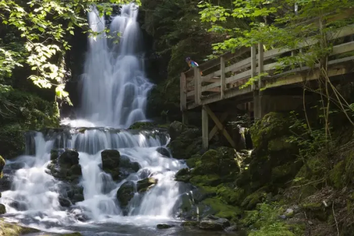 Framed Print : New Brunswick, Canada. Dickson Falls in Fundy National Park