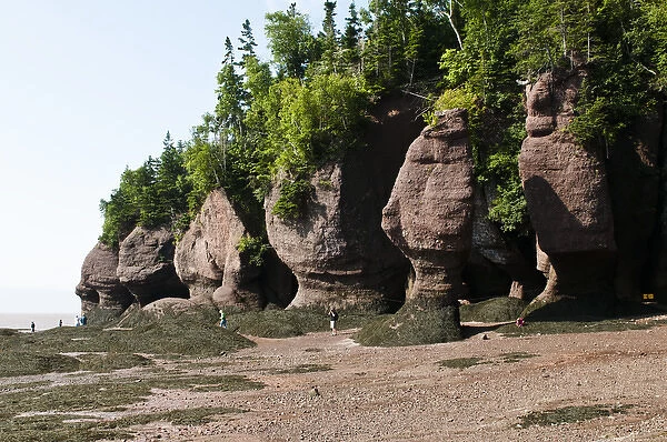 New Brunswick, Canada. Hopewell Rocks and The Ocean Tidal Exploration Site
