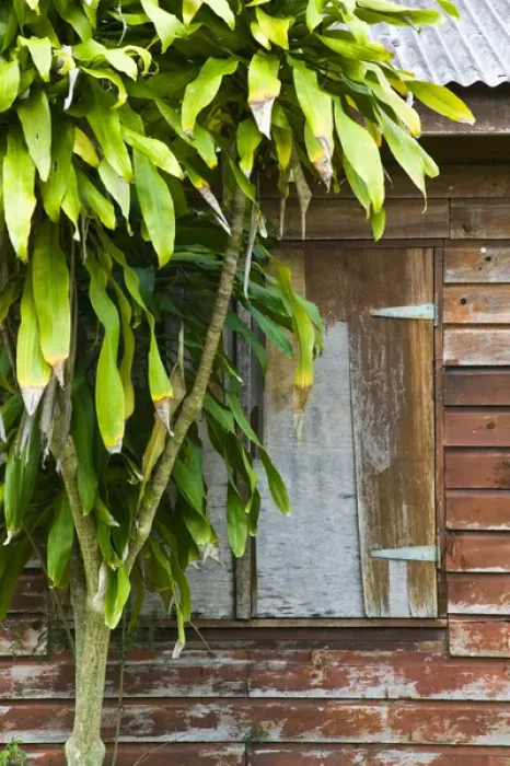 Framed Print : NEW CALEDONIA, Central Grande Terre Island, Sarramea. Detail of island bungalow Framed Print : NEW CALEDONIA, Central Grande Terre Island, Sarramea. Detail of island bungalow