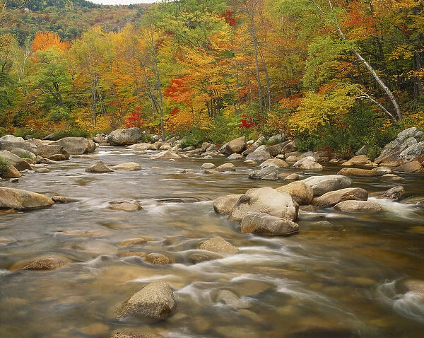 New Hampshire, White Mountains National Forest, Swift river flowing trough forest