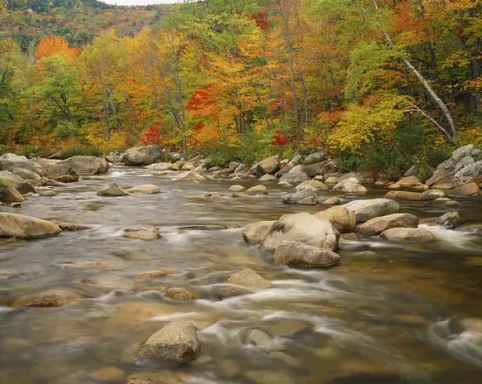 Framed Print : New Hampshire, White Mountains National Forest, Swift river flowing trough forest Framed Print : New Hampshire, White Mountains National Forest, Swift river flowing trough forest